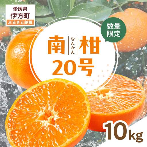 【先行受付】【数量限定】南柑20号（生果）10kg（2026年12月上旬頃より順次発送）IKTQ003