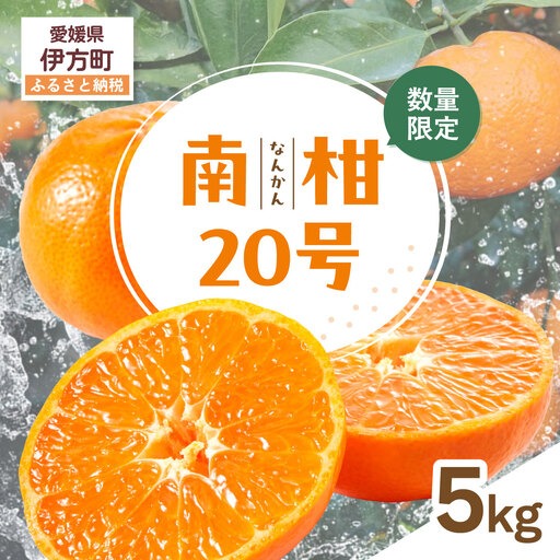 【先行受付】【数量限定】南柑20号（生果）5kg（2026年12月上旬頃より順次発送） IKTQ006