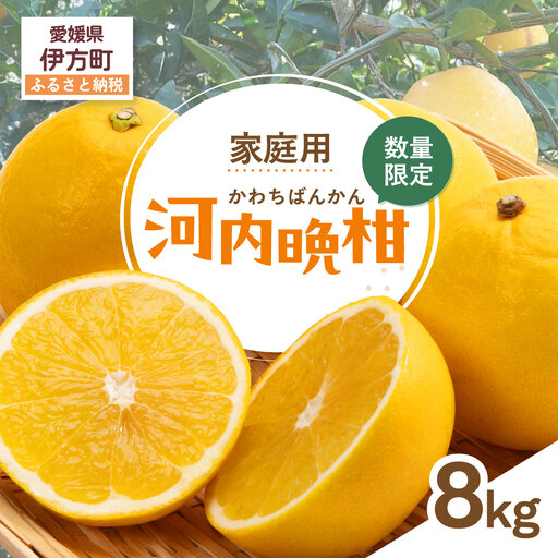[先行受付][数量限定][家庭用]河内晩柑(生果)8kg(2027年5月中旬頃より順次発送)