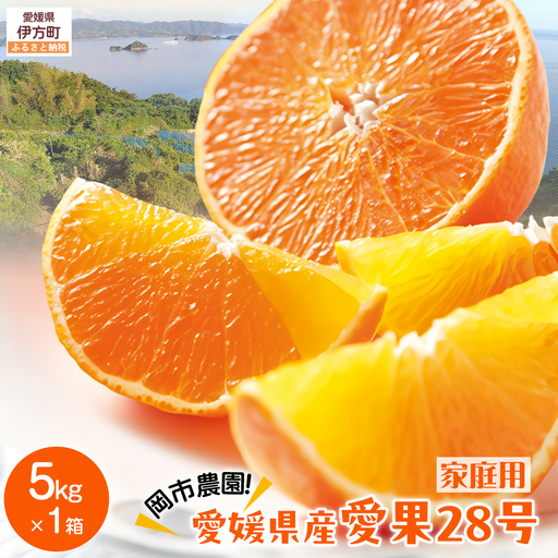 [先行予約][数量限定]岡市農園!愛媛県産 愛果28号(家庭用) 5kg×1箱(サイズ混合)(2026年12月中旬より順次発送)