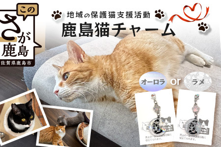 鹿島猫チャーム|保護猫カフェねこの蔵 チャーム 保護猫 猫 古民家カフェ 支援 鹿島市 猫カフェ カフェ プレゼント
