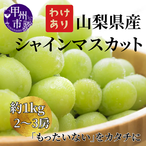 【訳あり】山梨県産旬のシャインマスカット 約1kg（2～3房）ご家庭用【2026年発送】（LKS）A08-850 シャインマスカット フルーツ