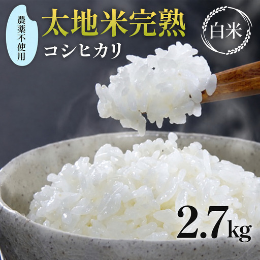 2026年産 農薬不使用 太地米完熟【こしひかり】 白米 2.7kg ブランド米 お米 精米 白米 人気 F7X-0669