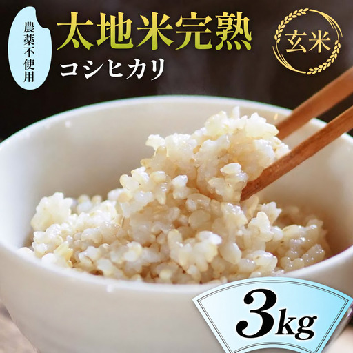2026年産 農薬不使用 太地米完熟【こしひかり】 玄米 3kg ブランド米 お米 人気 F7X-0673