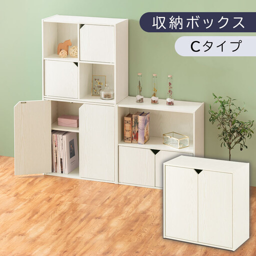 【完成品でお届け】収納ボックス〔Cタイプ〕（ホワイト）収納棚 扉付き キャビネット ラック 棚 カラーボックス スリム 2段 可動棚 本棚 収納家具 リビング LKANET300248-C-WH