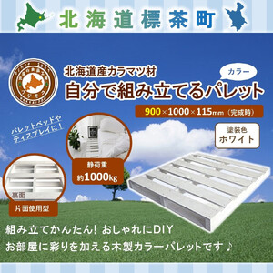 「自分で組み立てるカラーパレット」900×1000×115（mm）片面使用型　| パレット