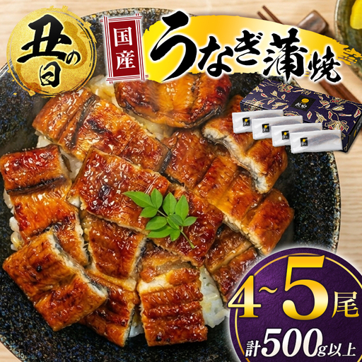 [丑の日までにお届け]国産うなぎ![うなぎ 国産 蒲焼 4〜5尾 計500g以上]ふるさと納税 高級 長蒲焼 鰻 夏バテ防止 ウナギ 鰻 かば焼き 蒲焼き 丑の日 タレ 宮崎県産 九州産 宮崎県 高鍋町 送料無料[TVで話題沸騰!][MR-g-004-00-01-US]