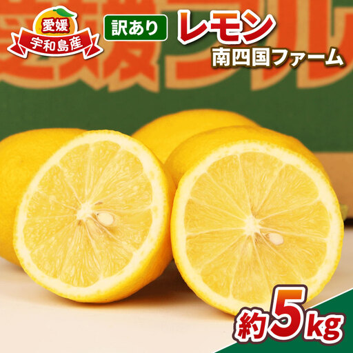レモン 訳あり レモン 約5kg 南四国ファーム 国産 B010-035019