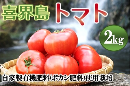 【2027年１月から発送開始】『喜界島トマト』自家製有機肥料(ボカシ肥料)使用栽培　２kg