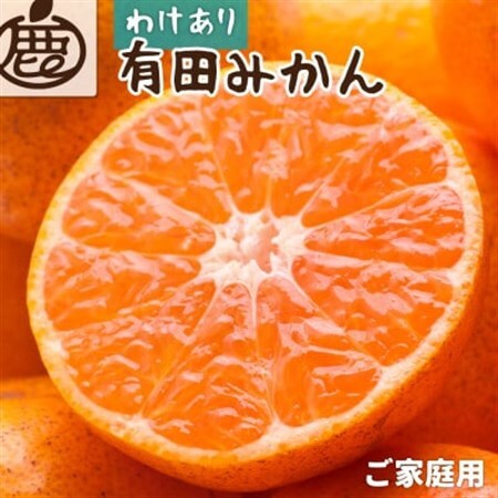 家庭用 有田みかん10kg+250g(傷み補償分)【光センサー選果】【訳あり】【配送不可地域：離島・北海道・沖縄県】【1625380】