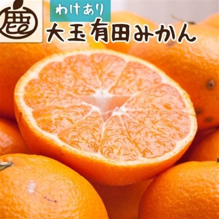 家庭用 大きな有田みかん2.5kg+250g(傷み補償分)[光センサー選果][訳あり][配送不可地域:離島・北海道・沖縄県]