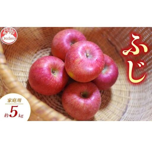 サンふじ 家庭用 5kg りんご リンゴ 林檎 サンふじ