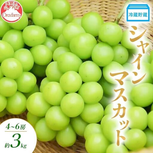 ぶどう 冷蔵貯蔵 シャインマスカット 4～6房 3kg ぶどう