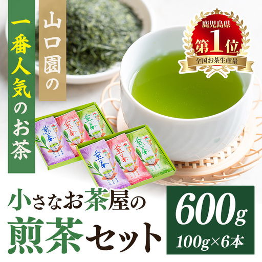 [お茶 生産量 日本一 の 鹿児島県産!]小さいお茶屋の 煎茶 セット(煎茶100g×6本・合計600g) お茶 緑茶 加工品[お茶の山口園]A185-v01