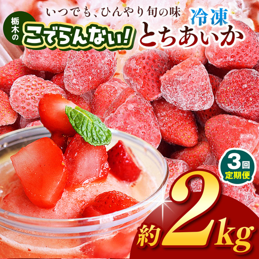 【定期便3回】栃木のこでらんない冷凍イチゴ（とちあいか）約2kg