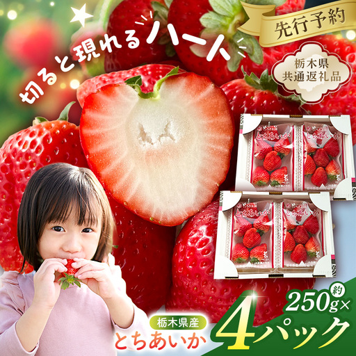 [先行受付]栃木県産 とちあいか約250g×4パック[栃木県共通返礼品][2027年1月下旬〜発送予定] ns120-001 いちご とちあいか