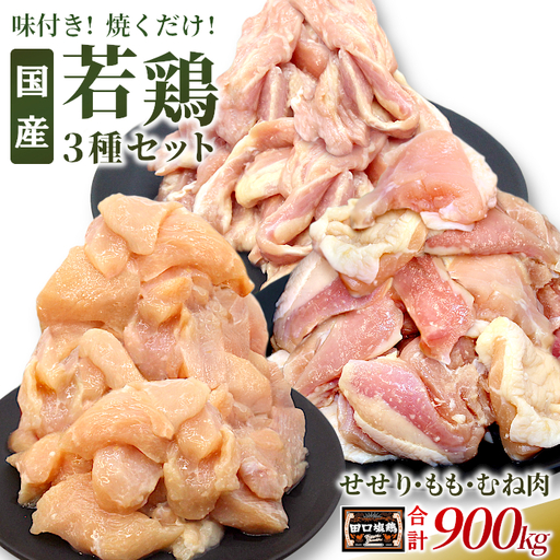 田口塩鶏 国産 若鶏味付け肉 3種セット 900g(もも肉250g×1・むね肉250g×1・せせり200g×2)もも肉 むね肉 塩ダレ 味付け肉 鶏肉 奥三河どり キャンプ バーベキュー 大容量 地鶏 焼肉 焼き鳥 -169
