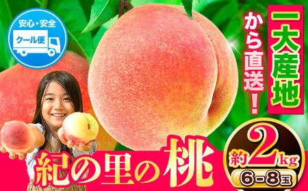 桃 紀の里の桃 約2kg 2026年発送!! 
