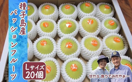 【 7月下旬～8月 】種子島 黄色い パッションフルーツ さご農園 (20個入り)　NFN600 【450pt】 // 夏期限定 安心・安全