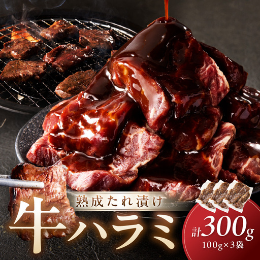 たれ漬けハラミ 1パック100ｇ×3袋