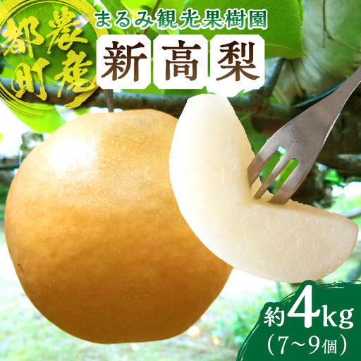 まるみ観光果樹園の『新高梨』(約4kg) なし 果物 フルーツ 天然 ミネラル栽培
