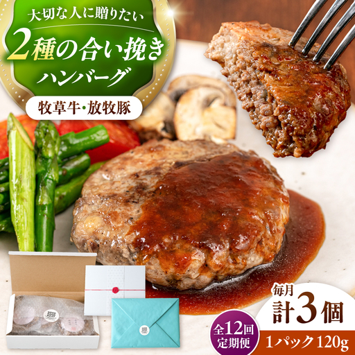 【全12回定期便】　【牧草牛×放牧豚】ハンバーグ 3個 牛肉 豚肉 小分け 冷凍 北海道 [AXBP025]