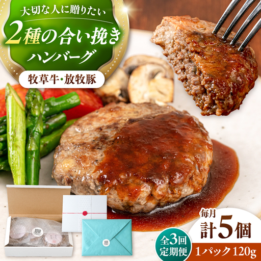 【全3回定期便】　【牧草牛×放牧豚】ハンバーグ 5個 牛肉 豚肉 小分け 冷凍 北海道 [AXBP027]