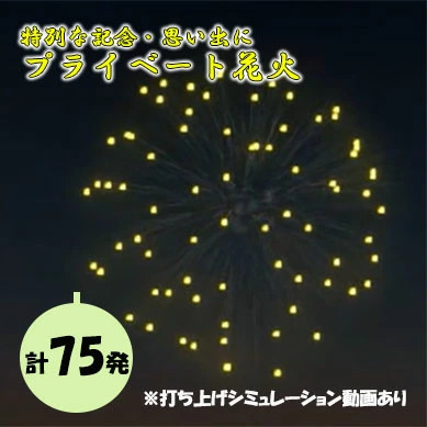 【特別な記念・思い出に】プライベート花火（７５発） 花火 はなび 記念 思い出 プライベート アニバーサリー 誕生日 記念日 結婚 プロポーズ