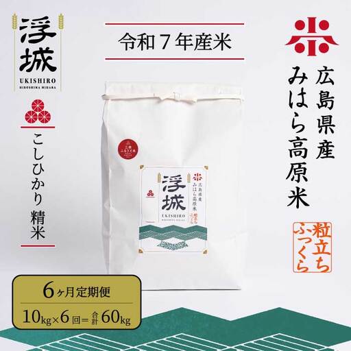 《令和7年》【6か月定期便】みはら高原米 浮城 ～ こしひかり ～ 白米10kg コシヒカリ お米 米 精米 ごはん ご飯 広島県 三原市 220008