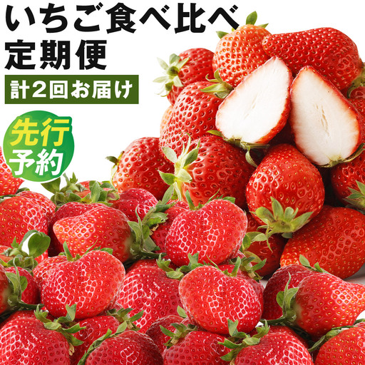 【全2回定期便】数量限定 フルーツ定期便 いちご 2品種 食べ比べ （ あまおう ・ かおり野 ） 合計約2.28kg 【2027年1月下旬から3月下旬まで順次発送予定】