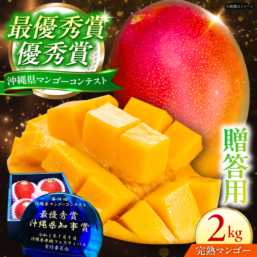 【2027年発送 先行予約】アップルマンゴー 贈答用 2kg マンゴー BCCU001
