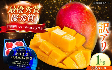 マンゴー 訳あり 1kg 沖縄 マンゴー