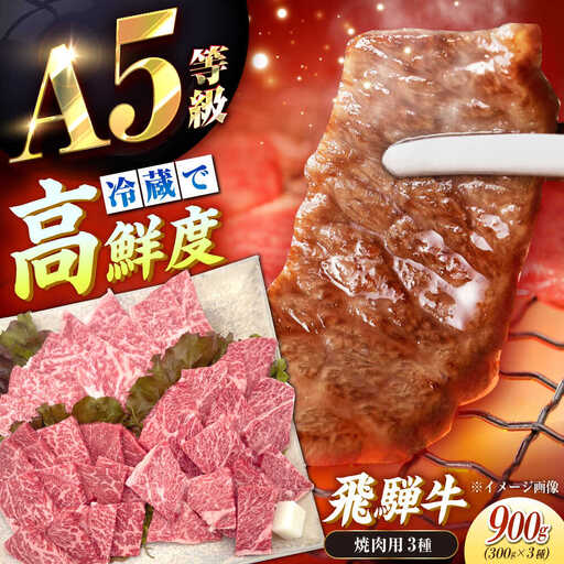 飛騨牛 A5 焼肉用3種盛り! ロース・もも・バラ 各300g / 恵那市 / 東美濃農業協同組合 [AUFX023]