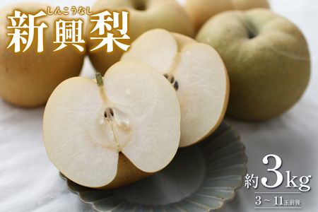 [2026・先行予約] 新興梨(しんこうなし)3kg|鳥取 果物 フルーツ なし 梨 2026年収穫後[41037]
