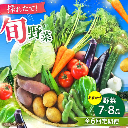 全6回定期便 旬の 野菜 セット 約3kg 野菜 7-8品程度 BHAK025