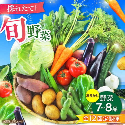 全12回定期便 旬の 野菜 セット 約3kg/ 野菜7 -8品程度 BHAK026
