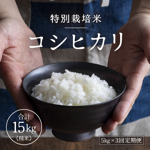 [先行予約][令和8年産]定期便 ≪3ヶ月連続お届け≫ 特別栽培米 コシヒカリ 精米 5kg×3回(計15kg)※2026年10月上旬より順次発送 [aw121-c001]