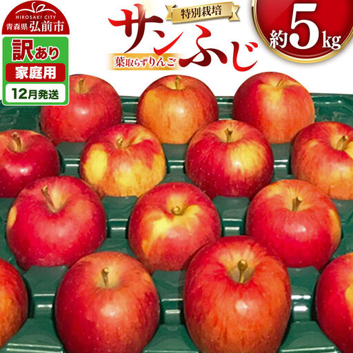【26年12月発送】りんご 葉取らず サンふじ【訳あり】約5kg（14～20玉程度）青森県特別栽培農産物認証農園 先行受付 家庭用 青森県 弘前市 果物 フルーツ 林檎 リンゴ くだもの 不揃い 規格外