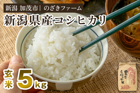 【令和8年産新米先行予約】新潟県産コシヒカリ 玄米5kg（5kg×1袋）（従来品種）《9月中旬から順次出荷》