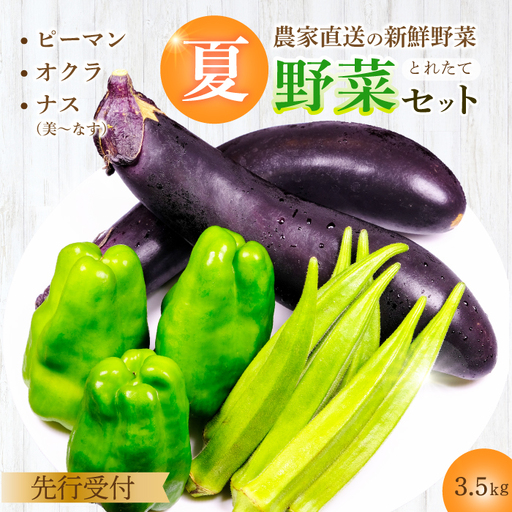 【先行受付】みのる農園 農家直送！夏野菜セット(ナス、ピーマン、オクラ)3.5kg やさい 詰合せ BBQ 2026年7月～10月上旬お届け 広島県三原市 206002