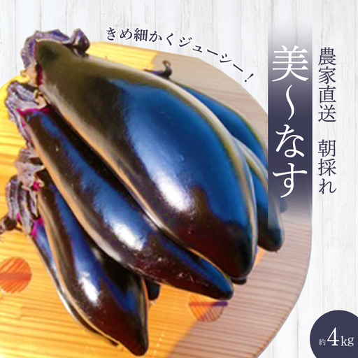 【先行受付】みのる農園 農家直送！朝採れ 美～なす 4kg ナス 野菜 やさい 2026年7月～10月上旬お届け 広島県三原市 206005