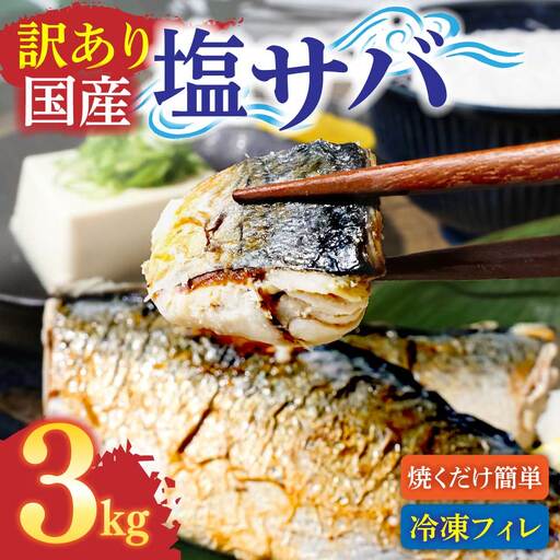 訳あり 塩サバ 3kg 約18枚 さば 鯖[R01426]