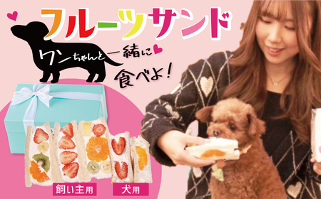 甘さ控えめ！八百屋が厳選したワンちゃん＆飼い主様フルーツサンドセット 5個セット フルーツ フルーツサンド 犬 愛犬 一緒 果物 くだもの H151-017