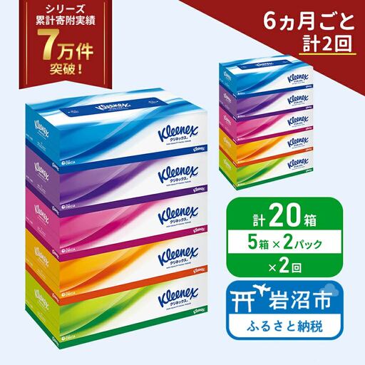 定期便 ティッシュ クリネックス 5箱入 × 2パック 《 6ヶ月ごと計  2回 》 ティッシュ セット