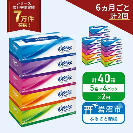 定期便 ティッシュ クリネックス 5箱入 × 4パック 《 6ヶ月ごと計  2回 》 ティッシュ セット