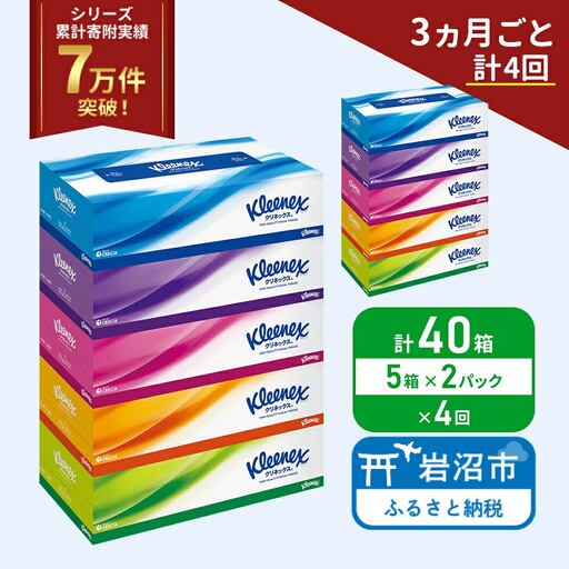 定期便 ティッシュ クリネックス 5箱入 × 2 パック《3ヶ月ごと計  4回》 ティッシュ セット