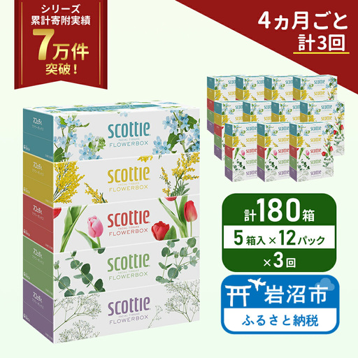 定期便 ティッシュ スコッティ フラワーボックス 180箱 ( 5箱 × 12パック )《 4ヶ月ごと 計  3回 》 