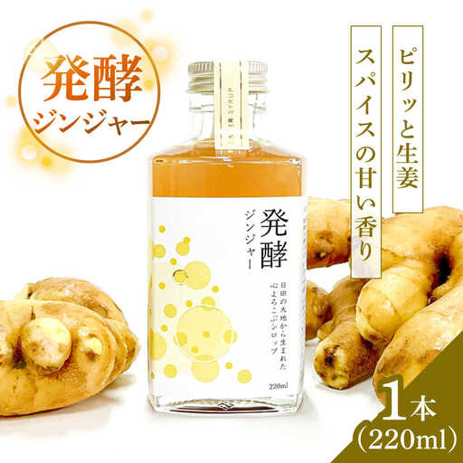 【お中元対象】ピリっと生姜にスパイスの甘い香り！身体にも心にも優しい発酵ジンジャーシロップ！発酵ジンジャー（1本）スパイス 炭酸 シロップ[ARDA008]
