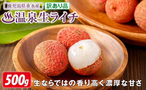 A1-22564／【 訳あり品 】【 期間限定 】 生ライチ 500g 訳あり 温泉水で育てた希少な 国産 ライチ ！