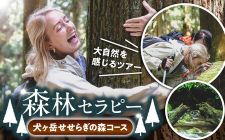 森林セラピー(犬ヶ岳せせらぎの森コース)  VDO002 体験 ツアー 登山